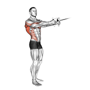 cable standing twist row (v-bar)