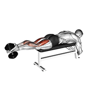 dumbbell lying femoral