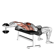 dumbbell straight arm pullover