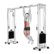 hanging straight leg hip raise