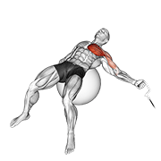 cable one arm fly on exercise ball