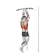 close grip chin-up
