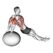 exercise ball dip