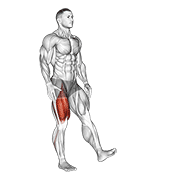 single leg squat (pistol) male