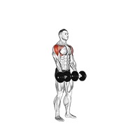 دور دنیا ایستاده با دمبل