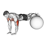 narrow push-up on exercise ball