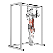 arm slingers hanging straight legs