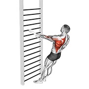 پارویی ایستاده تک دست با حوله