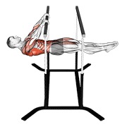 front lever reps