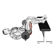 barbell glute bridge two legs on bench (male)