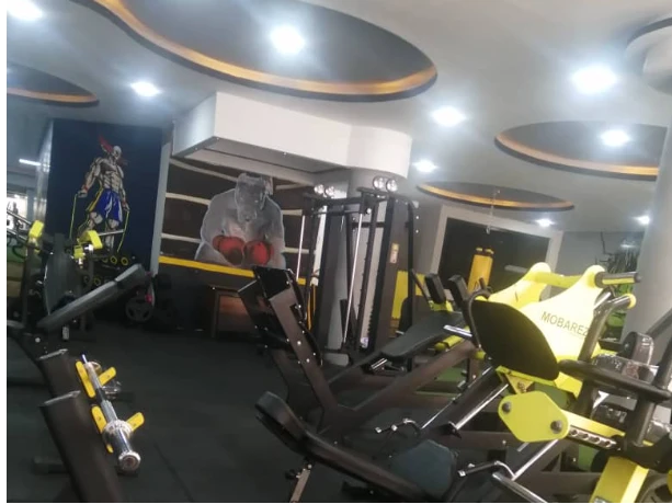 ماسل پلاس (Muscle Plus) شعبه آقایان — تصویر 6
