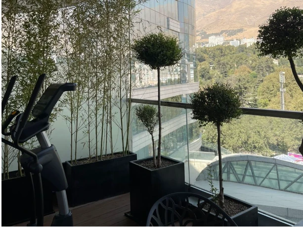 باشگاه وی آی پی فیت (VIP Fit Gym) — تصویر 3