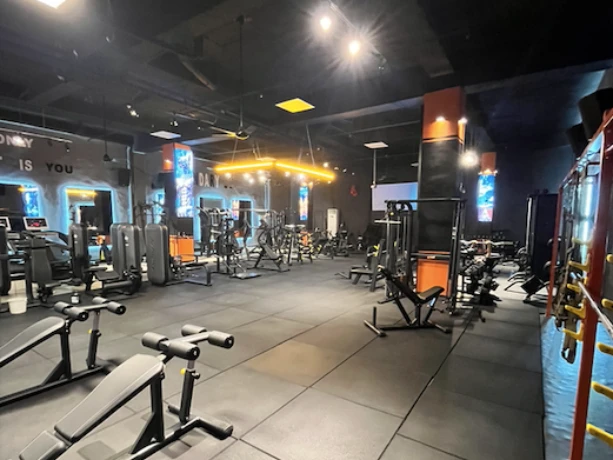 باشگاه ایکس جیم (X Gym) — تصویر 3