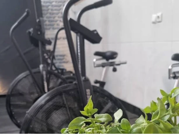 باشگاه آلفا — تصویر 2