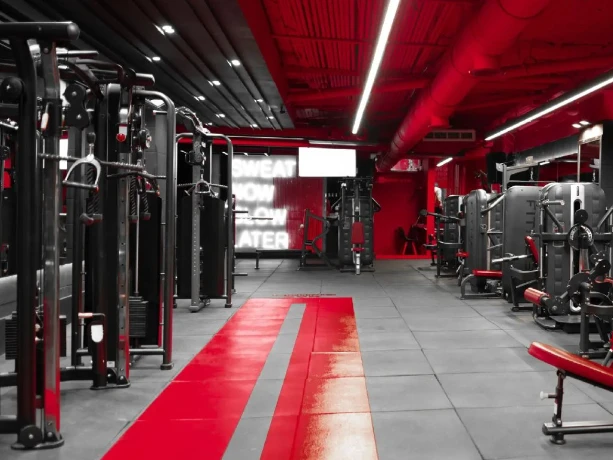 باشگاه راینو (Rhino Gym) — تصویر 2
