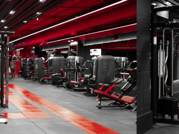 باشگاه راینو (Rhino Gym) — تصویر 3