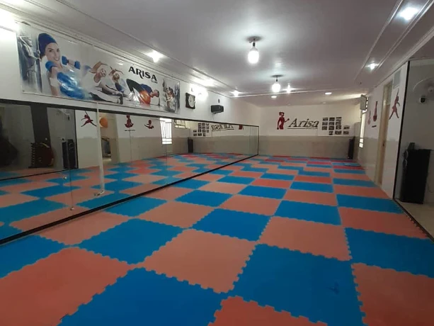 باشگاه آریسا — تصویر 2