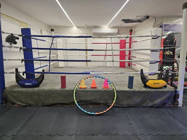 باشگاه صادقی — تصویر 5
