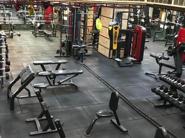باشگاه وی آی پی (VIP Gym) — تصویر 3