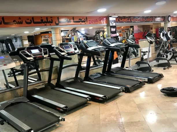 باشگاه زئوس در کرمان — تصویر 2