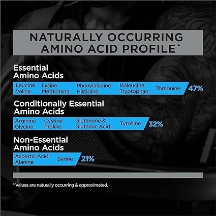 پروتئین وی رول وان شکلاتی ۲۲۴۰ گرم