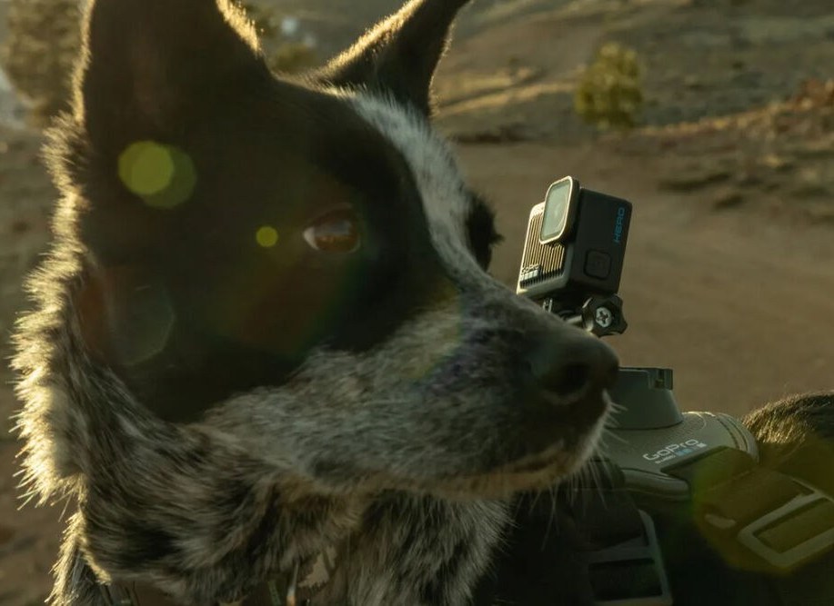 دوربین ورزشی گوپرو مدل Hero 13 ظرفیت 4K