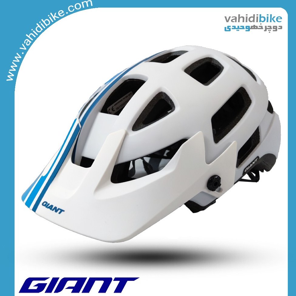 کلاه دوچرخه سواری جاینت Rail