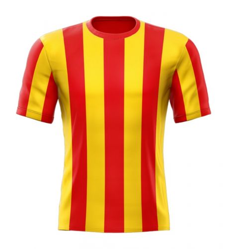 پیراهن اول Go Ahead Eagles ۸۱-۸۲