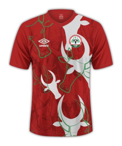 Madagascar 2024-25 Away Kit